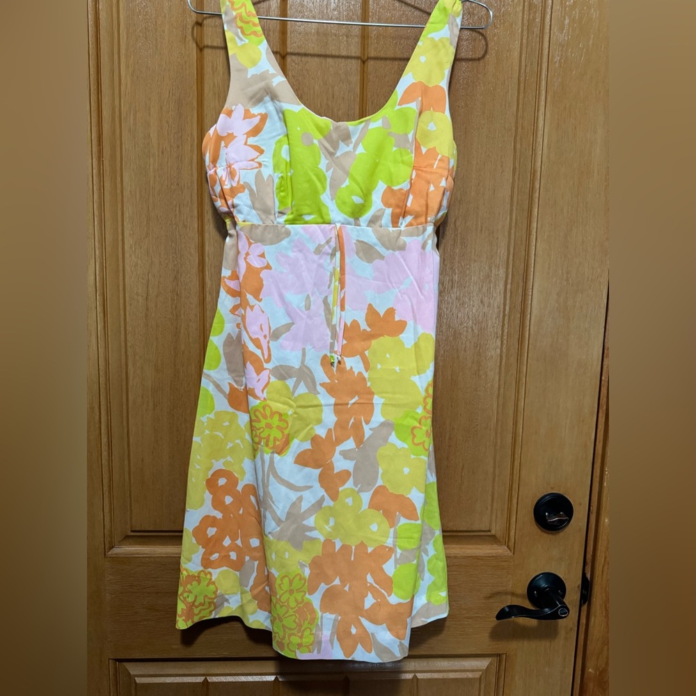 Fritzi Floral Sleeveless Dress Vintage 1960’s Circa Pit to Pit 19” Length 37”